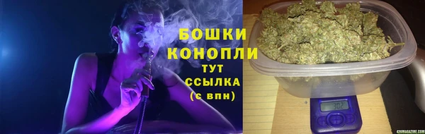 мяу мяу мука Аркадак