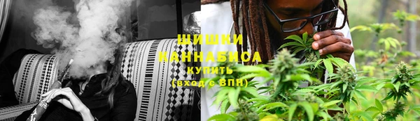 мяу мяу мука Аркадак