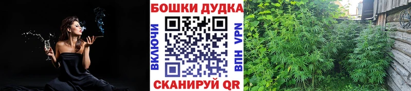 ОМГ ОМГ как войти  Саров  Марихуана THC 21% 